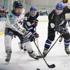 Image 11: Invicta Mustangs Ice Hockey Team