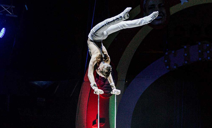 Image 3: Entrada oro o plata para niño o adulto al espectáculo "Viva el circo"