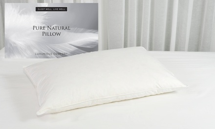 Goose Feather and Down Pillows | Groupon Goods