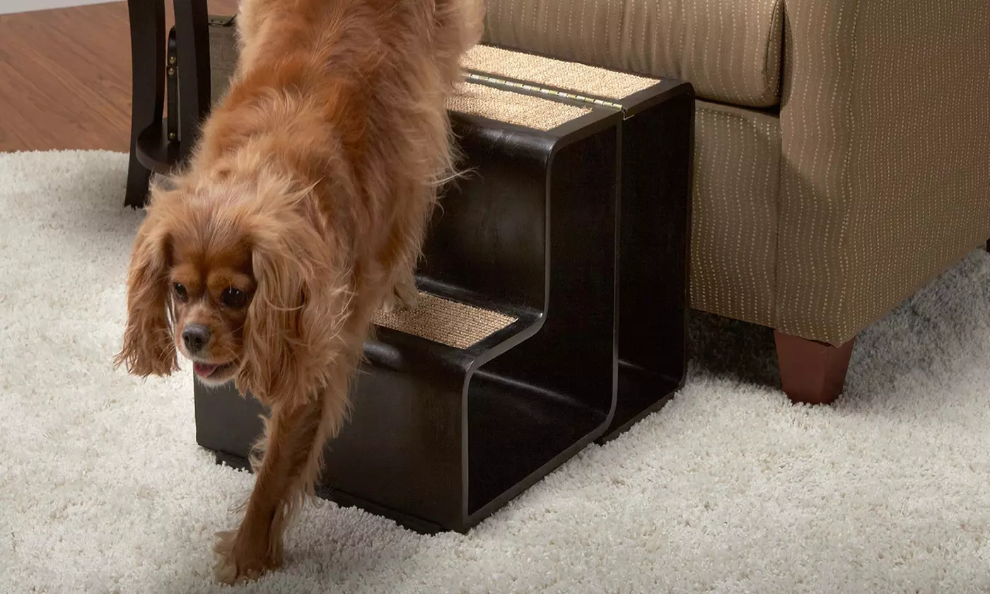 1-2-3 Pet Step - Second Medium