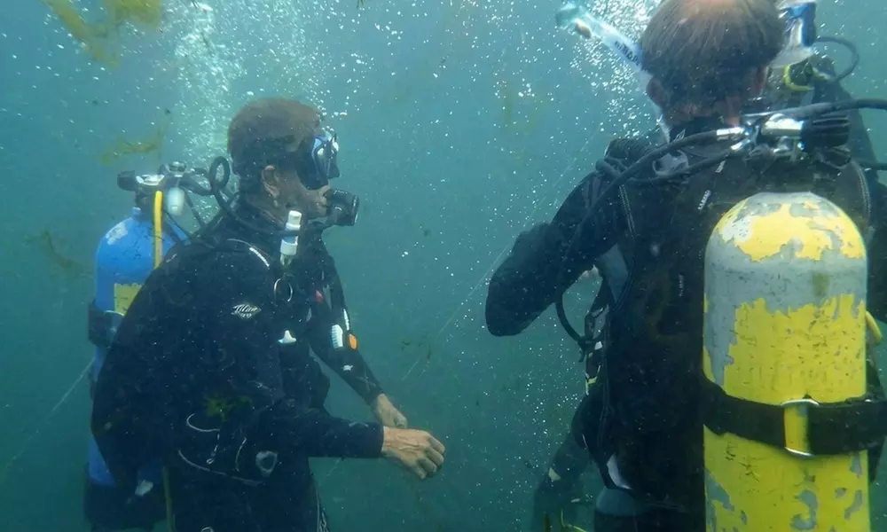 3 Day NAUI Scuba Course: Earn Your Open Water Dive Certification