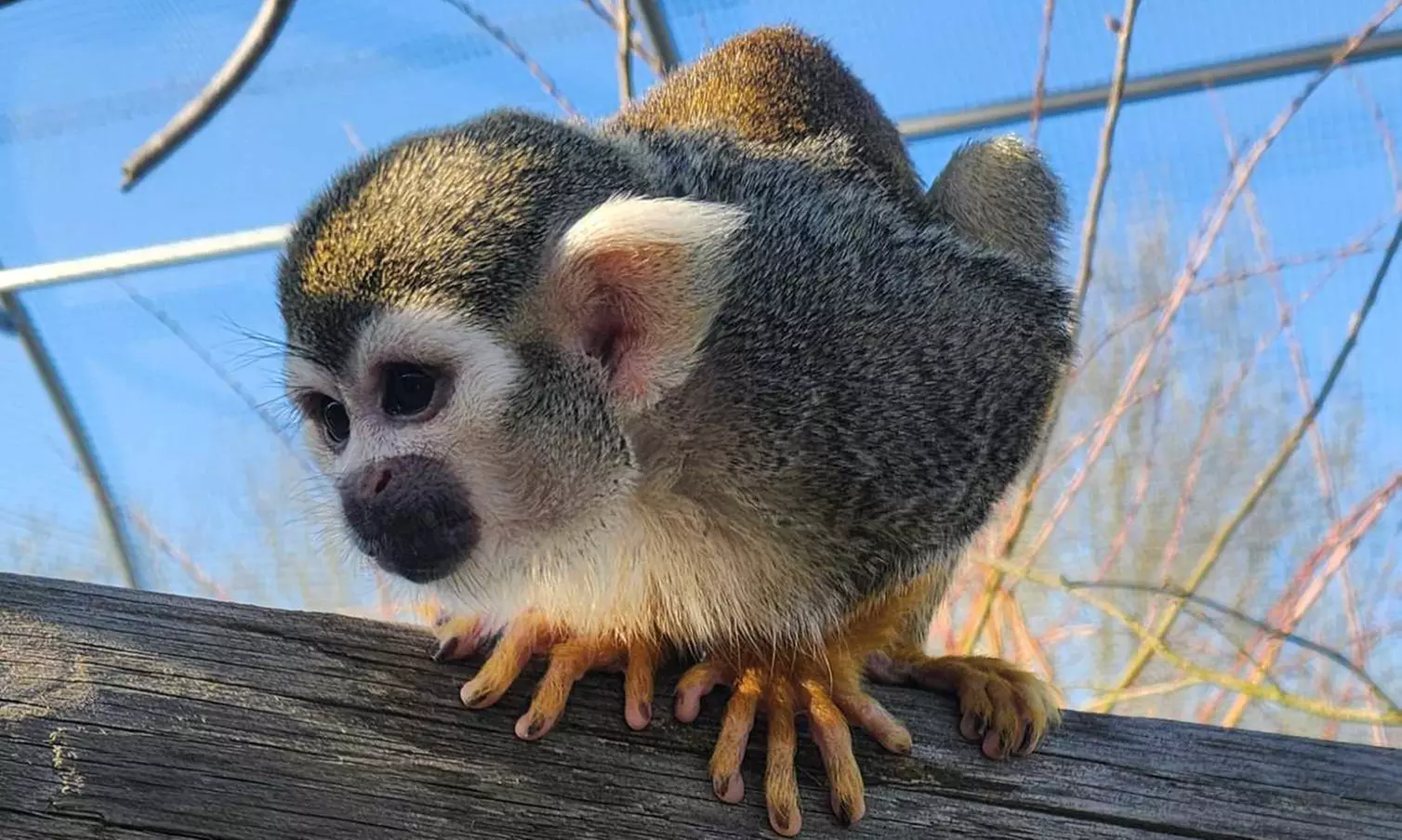 Billet enfant ou adulte pour La Réserve Exotique