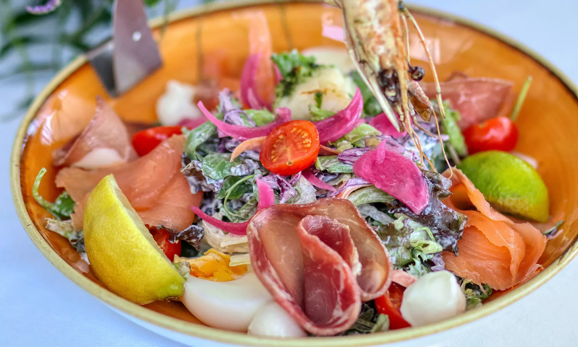 Saveurs en bord de mer : menu méditerranéens à la carte