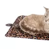 Leopard Brown