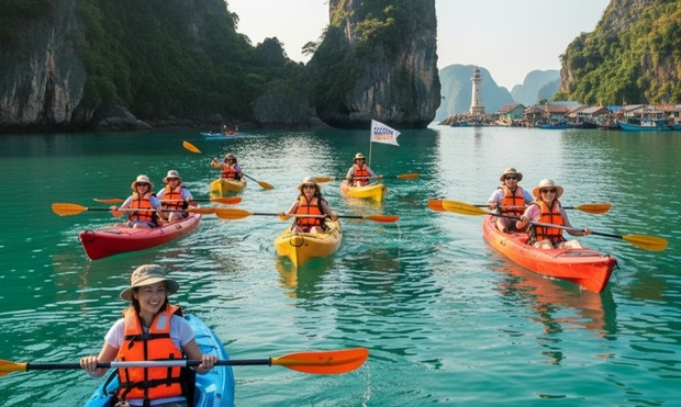 What to expect media