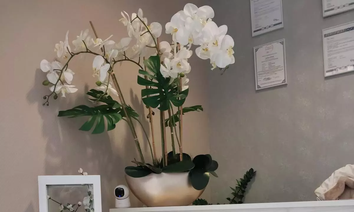 Gesichtsbehandlung mit Bedampfung / Anti-Aging-Pflege / Radiofrequenz