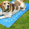 Image 1: Coussin refroidissant pour animaux 
