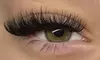 Lashes By Cass: Classic, Hybrid, Divine Volume, or Divine Diamond Eyelash Extensions (Up to 30% Off)