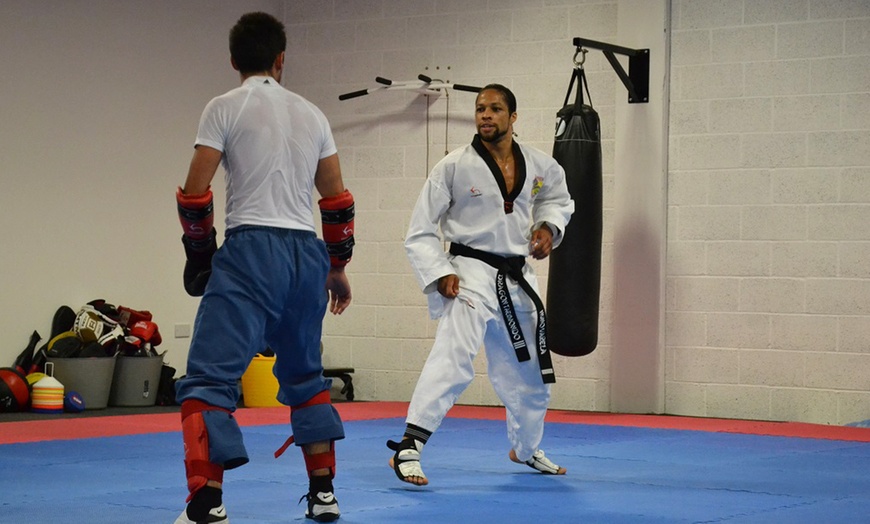 Image 4: Two Kids Taekwondo Lessons