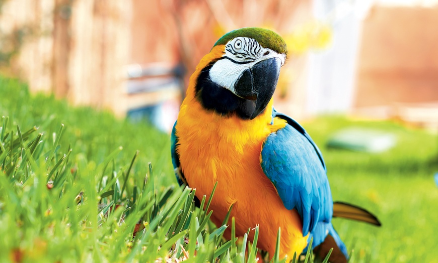 Image 13: Diversión en familia con una entrada a MundoMar y/o Aqualandia