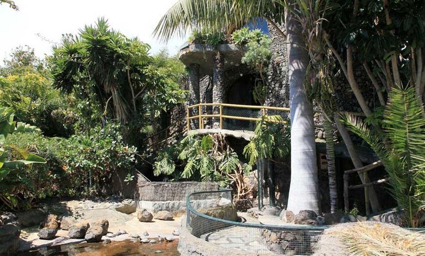 Image 3: Menú degustación de La Palma o menú de arroz para 2 con bebidas y más
