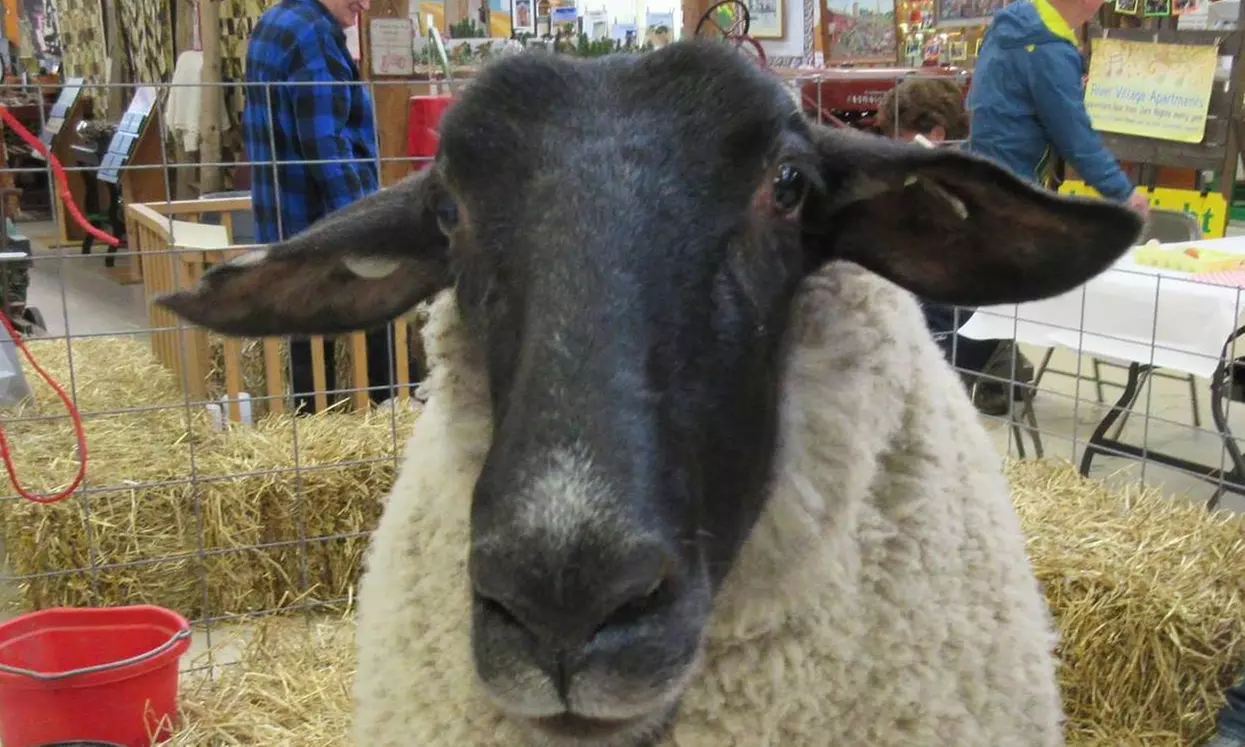 Family Admission to the Coopersville Farm Museum & Event Center