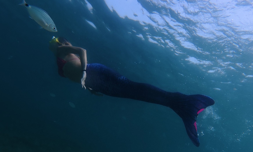 Image 11: Experiencia sirena de 90 minutos en el mar con fotos incluidas 