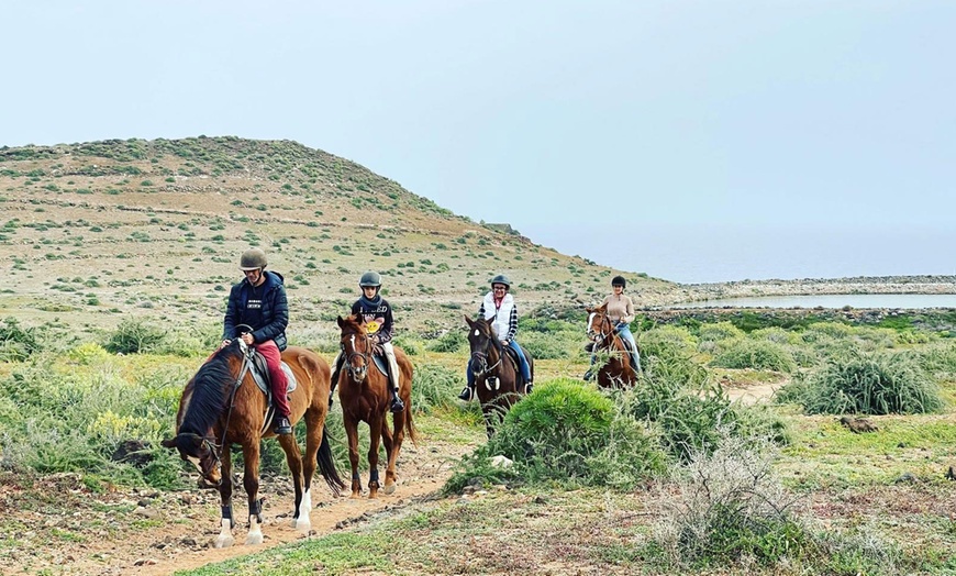 Image 3: ♞ Paseo a caballo para 2 personas con Horse Riding Canaria