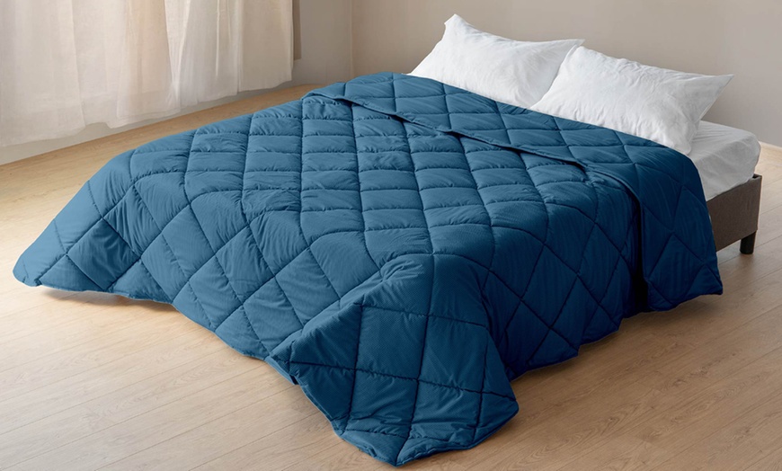 Image 19: Fluwelen sprei