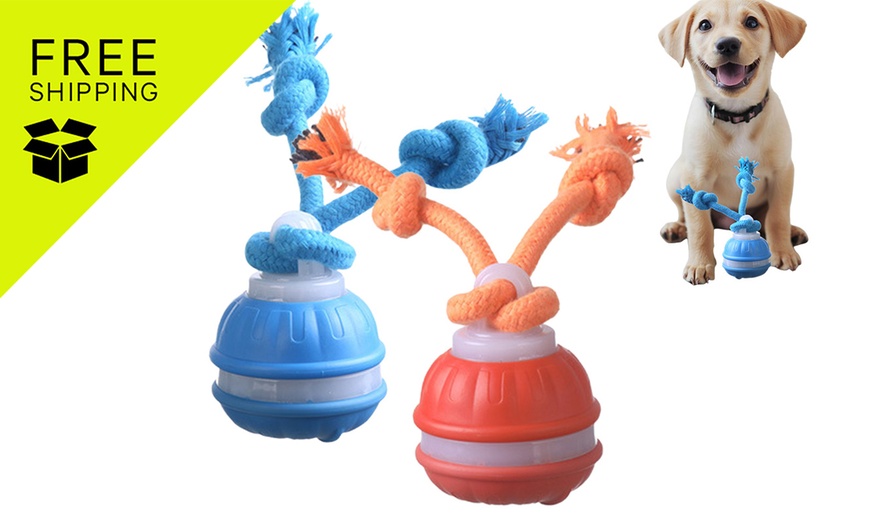 Image 1: Interactive Rolling Ball Toy
