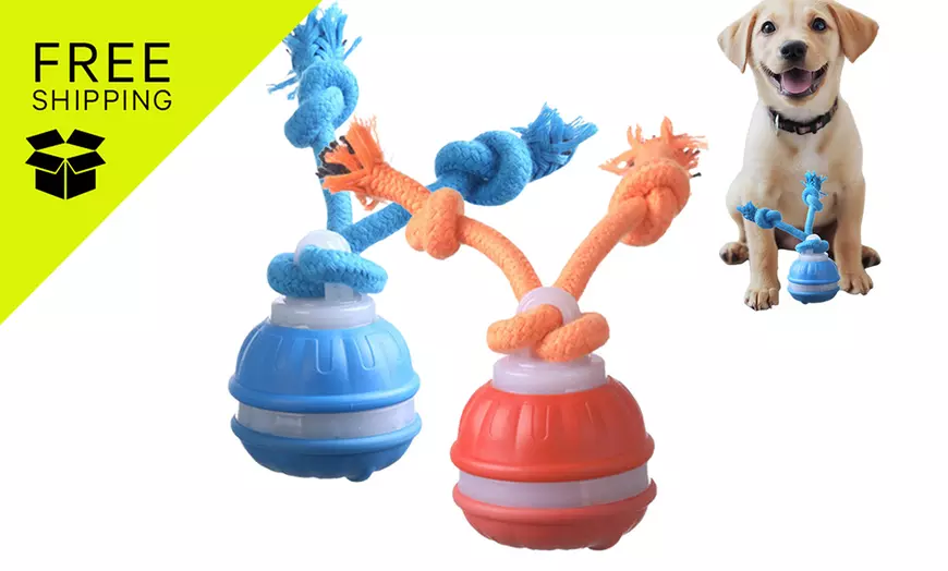 Image 1: Interactive Rolling Ball Toy

