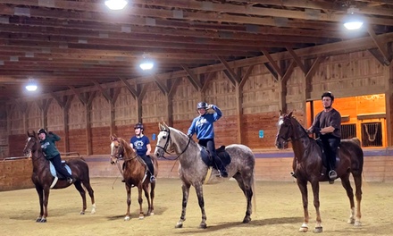 One 30-Minute Horseback Riding/Driving Lesson - Thunder Ridge Farms