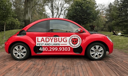 Interior and Exterior Pest Prevention Treatment - Ladybug Pest