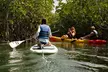 Key West Kayak Tour - Second Medium
