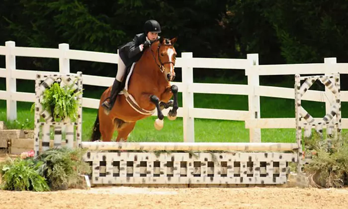 One or Two Private Horseback Riding Lessons for Ages 7 and Up at Hawks Landing (Up to 52% Off) - Primary Image