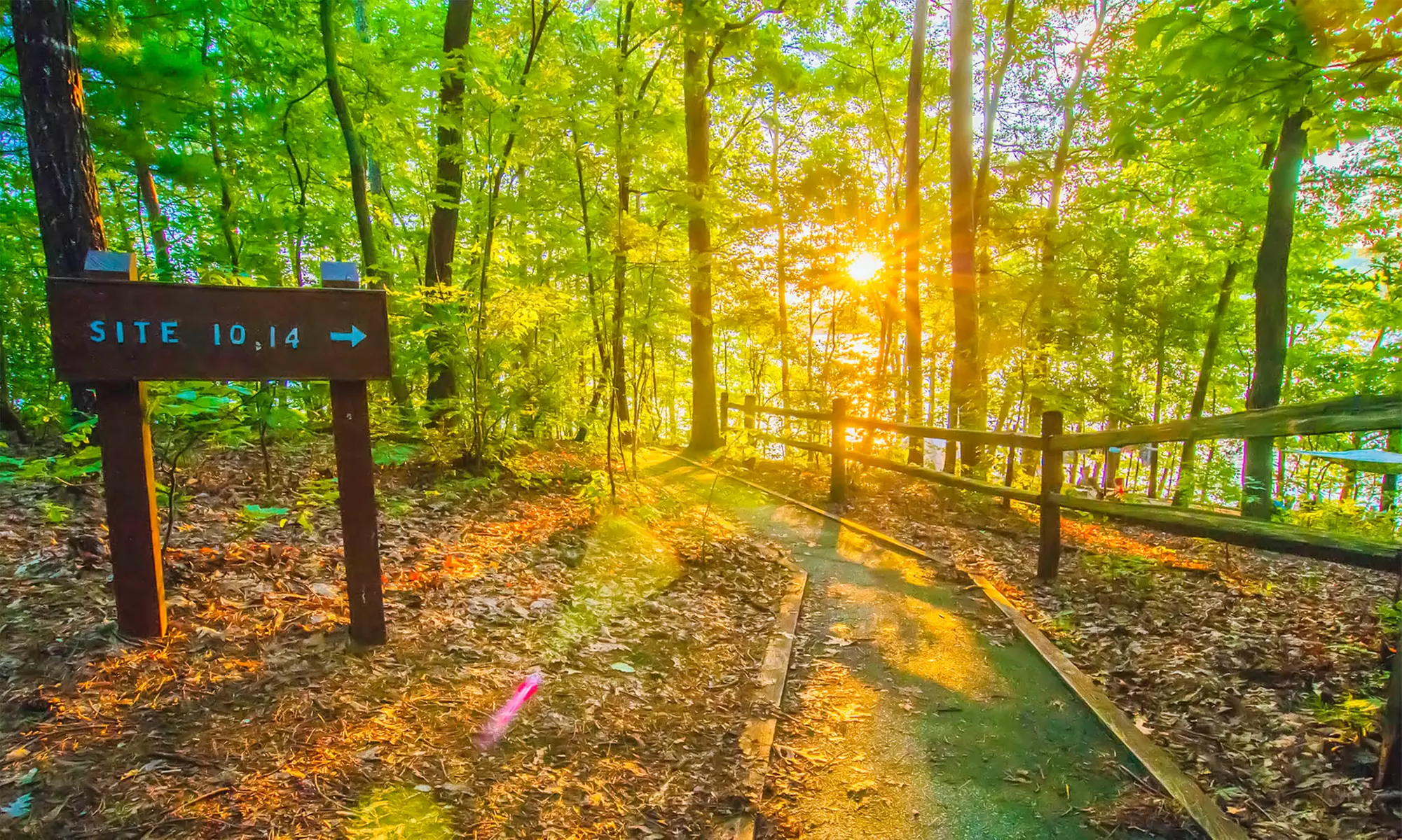 $16 for a One-Night Campsite Rental at Laura S. Walker State Park ($32 Value) - Primary Image
