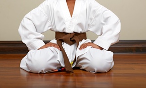 72% Off at Karate World