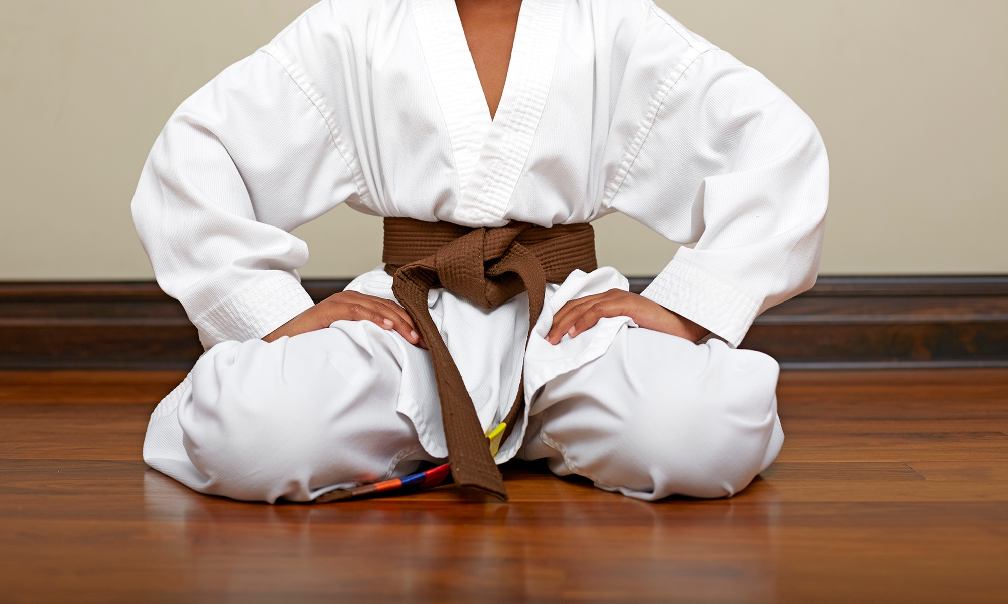 69% Off at Karate World