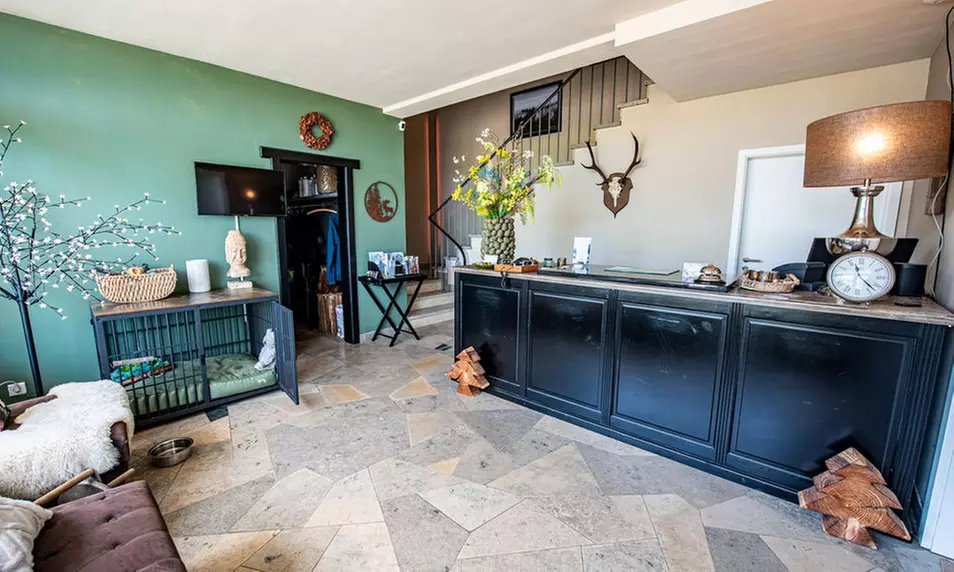 Winterberg: 2-3 Nächte inkl. Frühstück, 1x Dinner, Spa & Alpakas