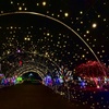 Image 2: Drive-Through Holiday Lights at Enchanted Light Festival 