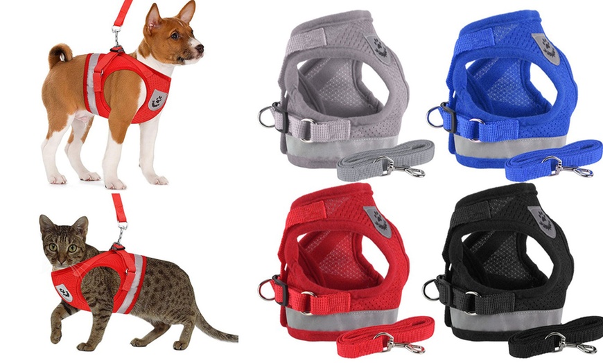Image 2: No-Pull Hand Strap Dog Cat Vest With Dog Leash Pet Collar Adjustable Harness