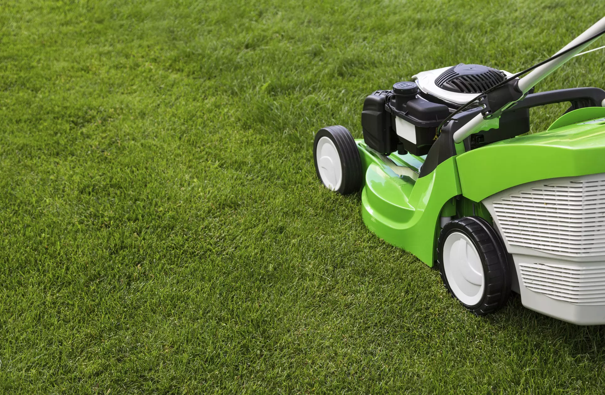 $90 for four consecutive mowings. — C & M Lawn Care  - Primary Image