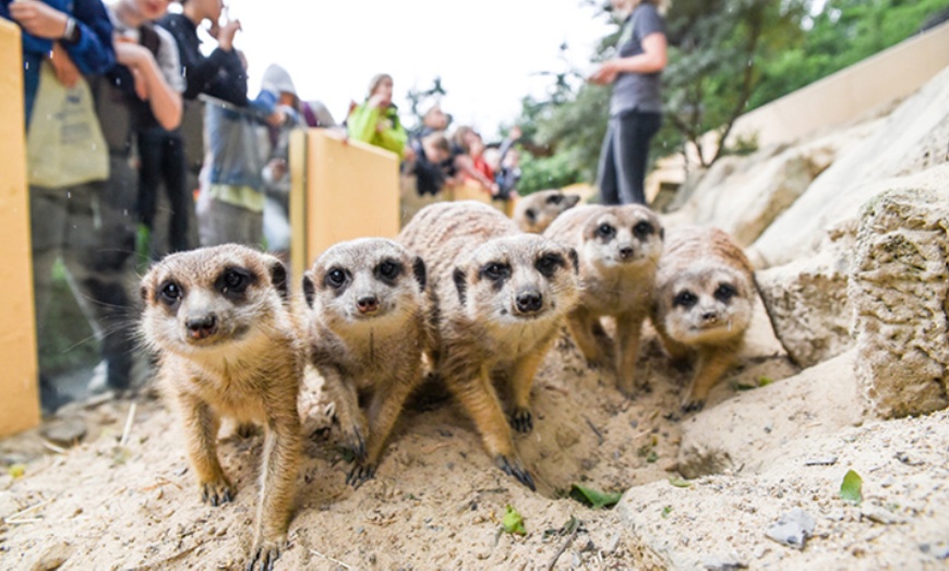 Image 1: Tageskarte für den Tierpark Herborn für 1-2 Erwachsenen & 2 Kindern