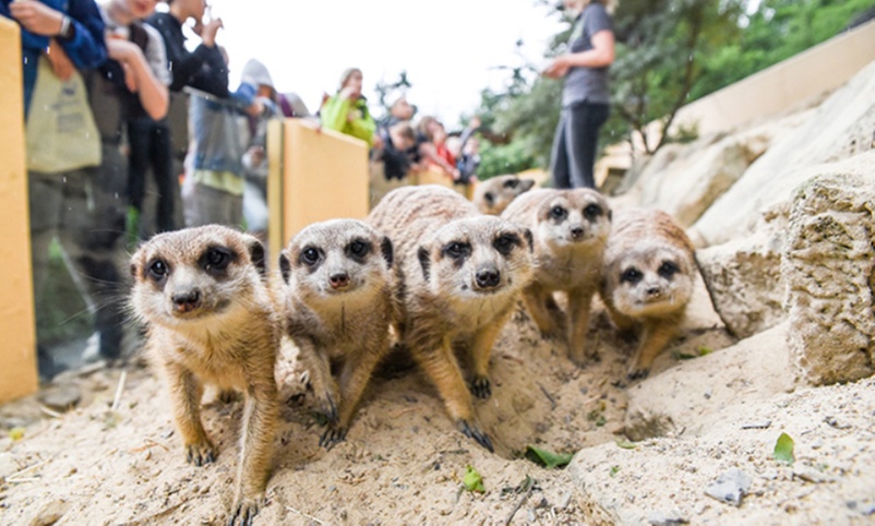 Tageskarte für den Tierpark Herborn für 1-2 Erwachsenen & 2 Kindern