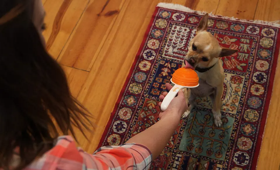 Pooch Smooch - Bad Dog Breath Eliminator - Second Medium