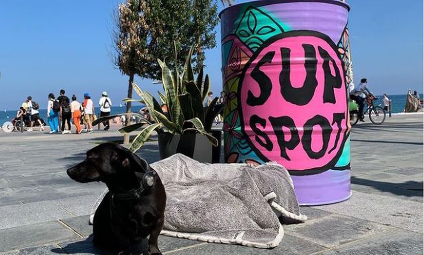 Image 11: Alquiler de tablas de paddle surf durante 1 hora para hasta 4 personas