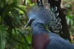 Admission for One Child or Adult to Central Park Zoo (Up to 10% Off) - Second Medium