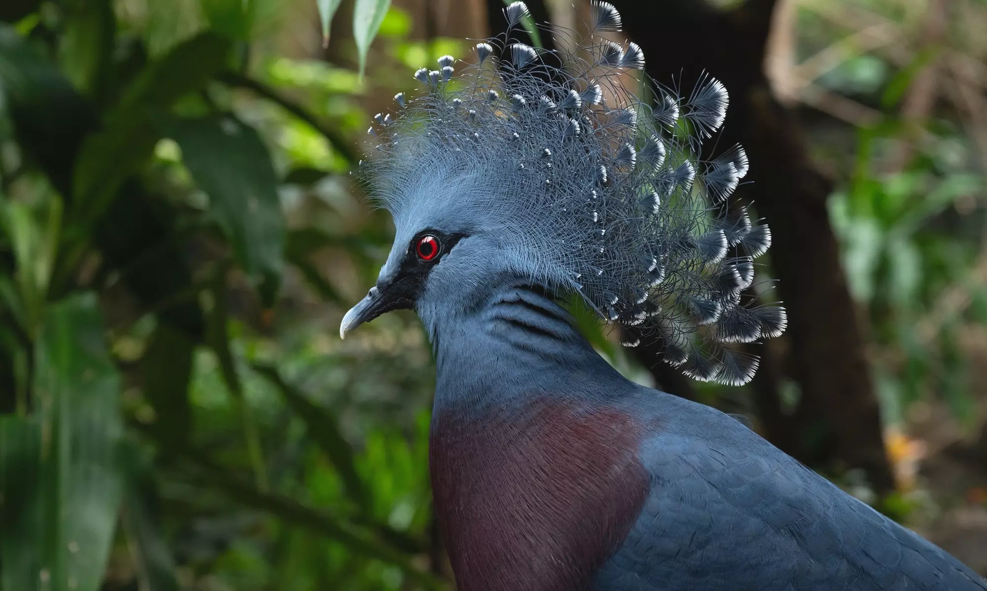 Admission for One Child or Adult to Central Park Zoo