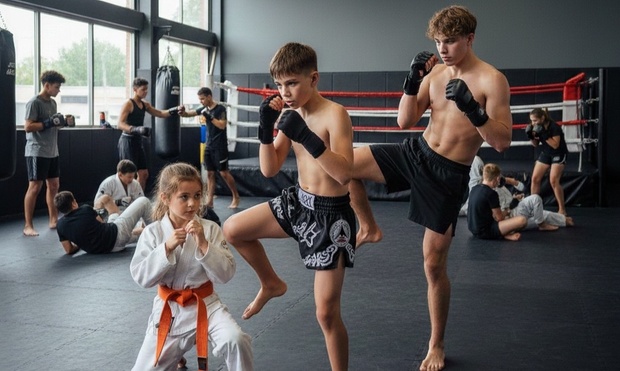 What to expect media