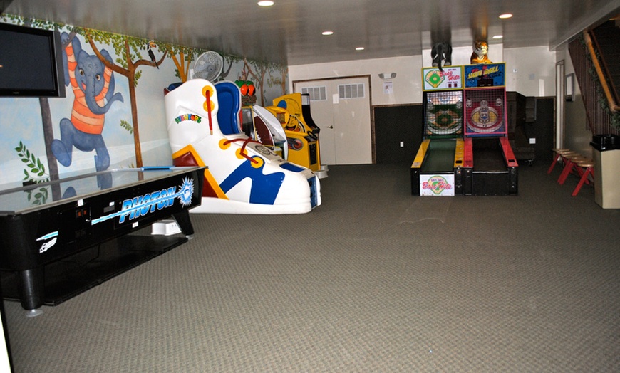 Image 5: Animal-Themed Jungle Gym: Book a Fun Open-Play Session for Your Kid