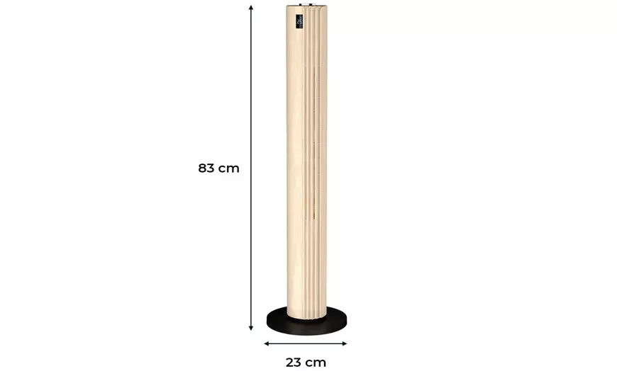 Image 4: Staande koelventilator 'Rowenta'