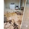 Image 3: 2 or 4 Hours of House STANDARD or DEEP Cleaning or Junk Removal