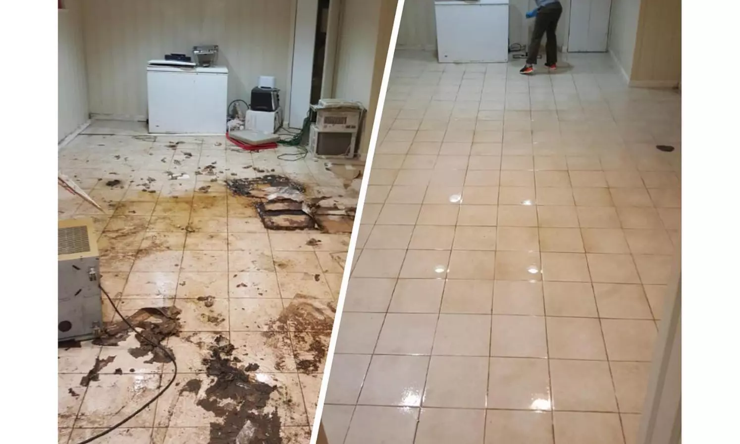 2 or 4 Hours of House STANDARD or DEEP Cleaning or Junk Removal