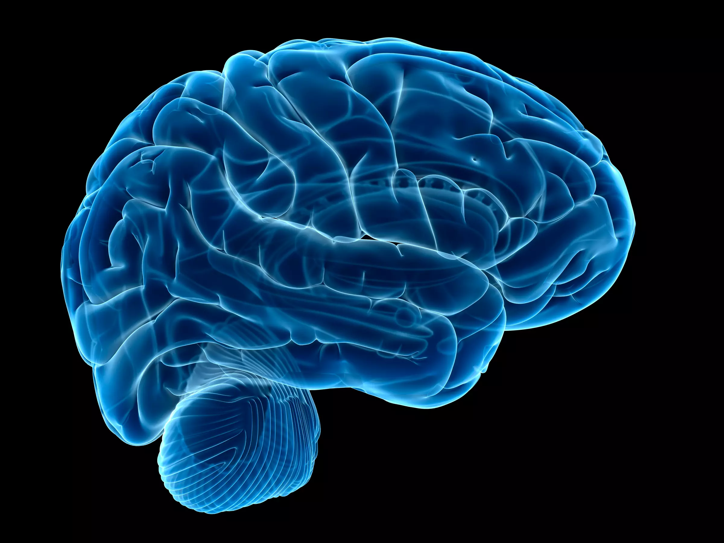 Up to 90% Off on Online Memory Training Course at Coding with Brainlox - Primary Image