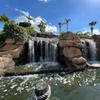 Image 4: Embark on a Tropical Journey with One or Two Rounds of Mini-Golf