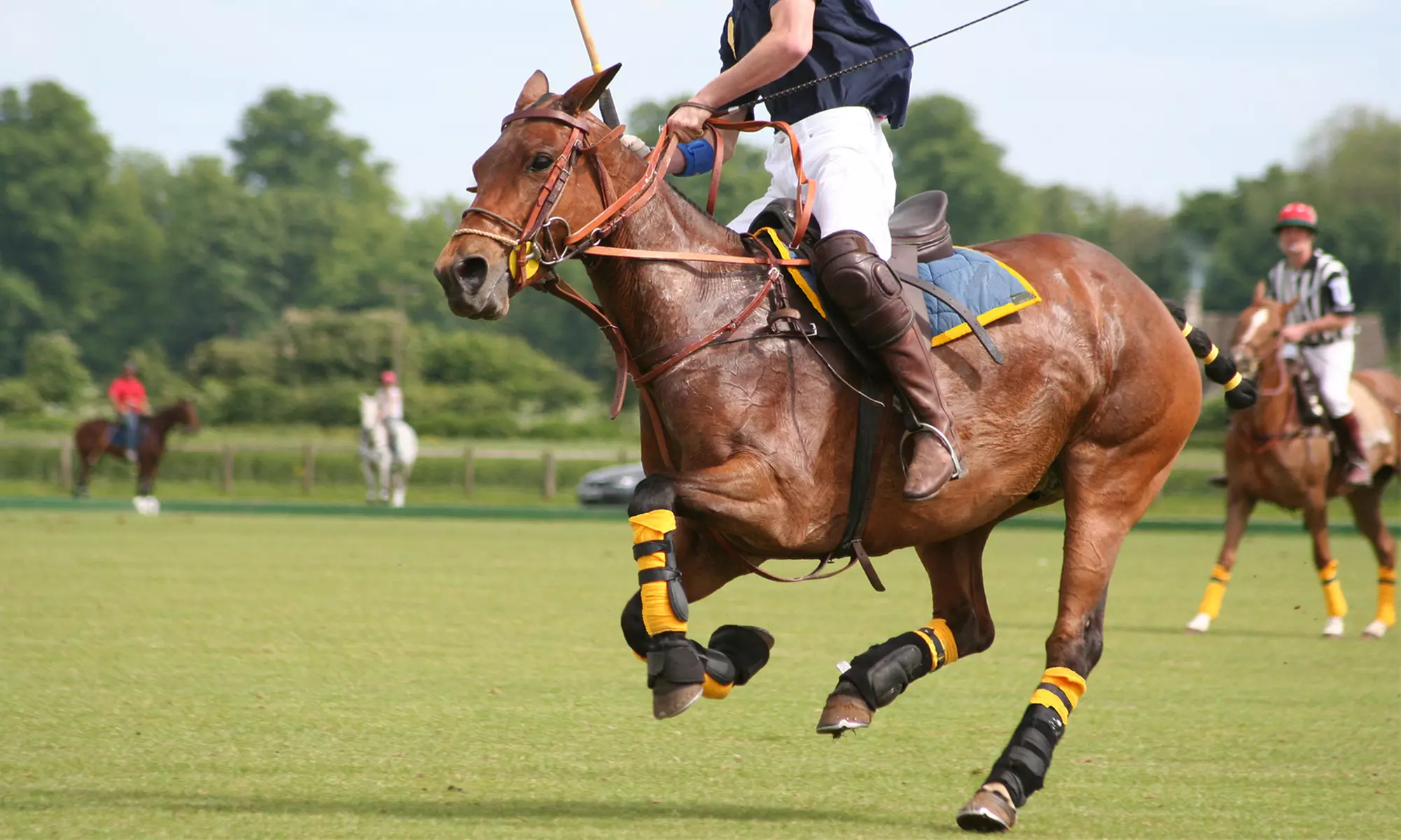 One or Three Individual Polo Lessons at MWF Polo (Up to 56% Off) - Primary Image