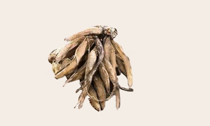 Image 4: Bollenpakket voor 40 ranonkels