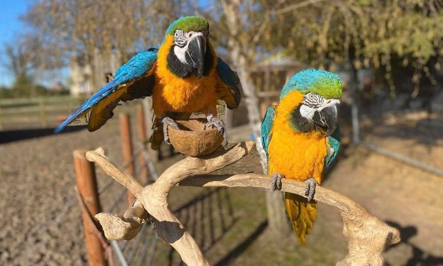 Image 6: Zoo Entry at Maldon Promenade Zoo