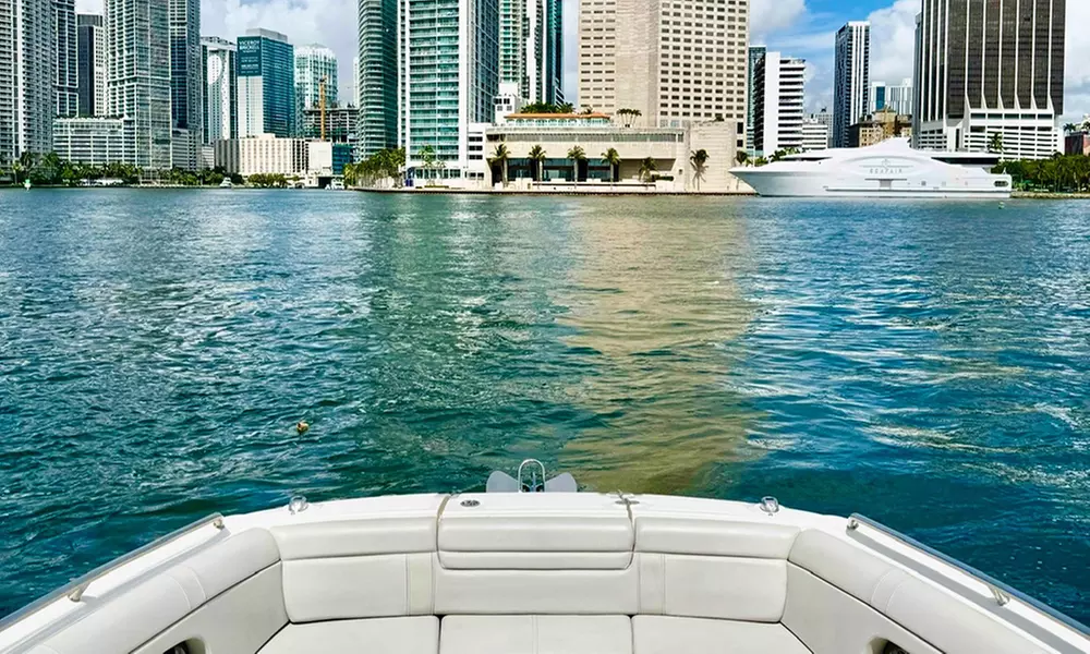 Tour for 10 or 12 People/ Luxury Tour w/ Champagne: 12 People - 2 Hrs