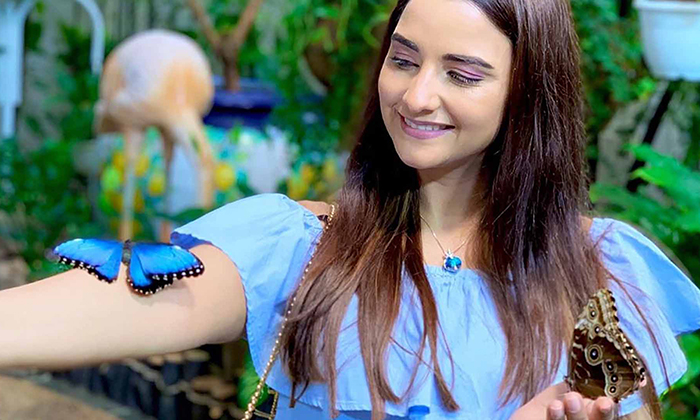 Dubai Butterfly Garden Entry Tickets For 1, 2 Or 4
